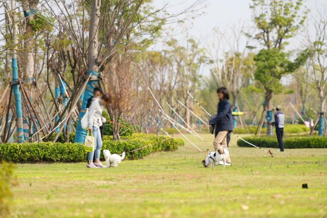 屿天誉蘭香售楼处电话：顶奢生活之选开元棋牌app十一月百度热搜 @象(图3)