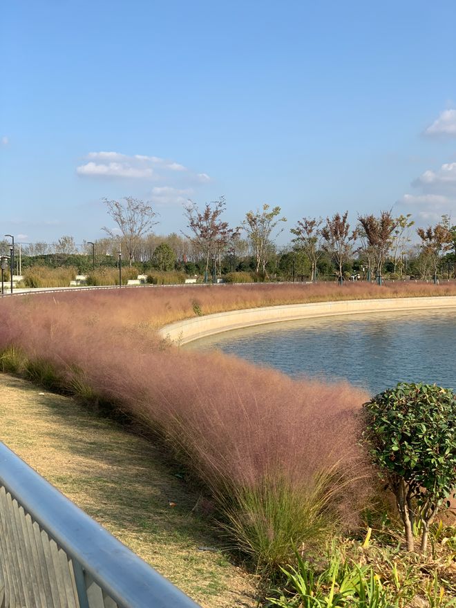 屿天誉蘭香售楼处电话：顶奢生活之选开元棋牌app十一月百度热搜 @象(图19)