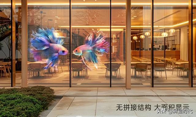 明全息显示开辟崭新沉浸式视觉时代开元棋牌定义空间的光显魔法师洲(图8)